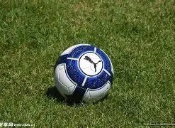 德甲豪门领,跑欧冠积分,拜仁,Aiyouxi,Sports,爱游戏体育,爱游戏体育入口,爱游戏体育官网,爱游戏体育APP下载