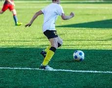 劳塔罗领衔,欧冠慢跑阵,前曼城铁卫,Aiyouxi,Sports,爱游戏体育,爱游戏体育入口,爱游戏体育官网,爱游戏体育APP下载