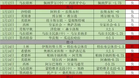 济南奥体中心举行泰山队新援马德鲁加、卡扎尔、李小恒加盟见面会